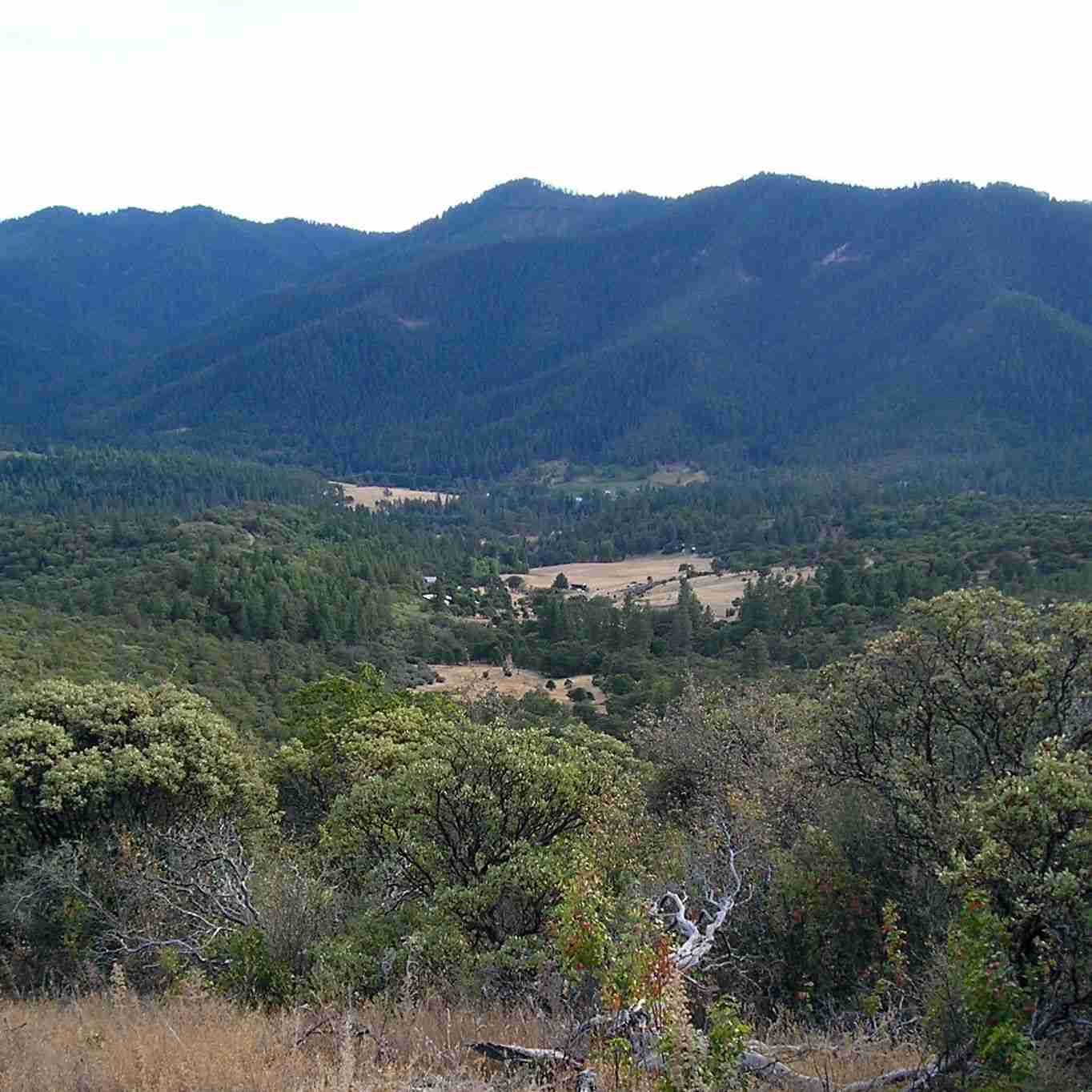 Neighboring Property Owners Join Jackson County to Challenge Decision That Measure 37 Waivers Are Enforceable Contracts