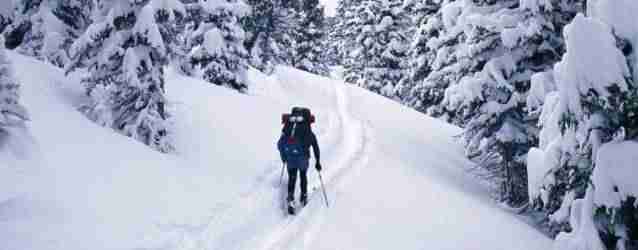 Land Trade to Protect the North Side of Mt. Hood Moving Forward