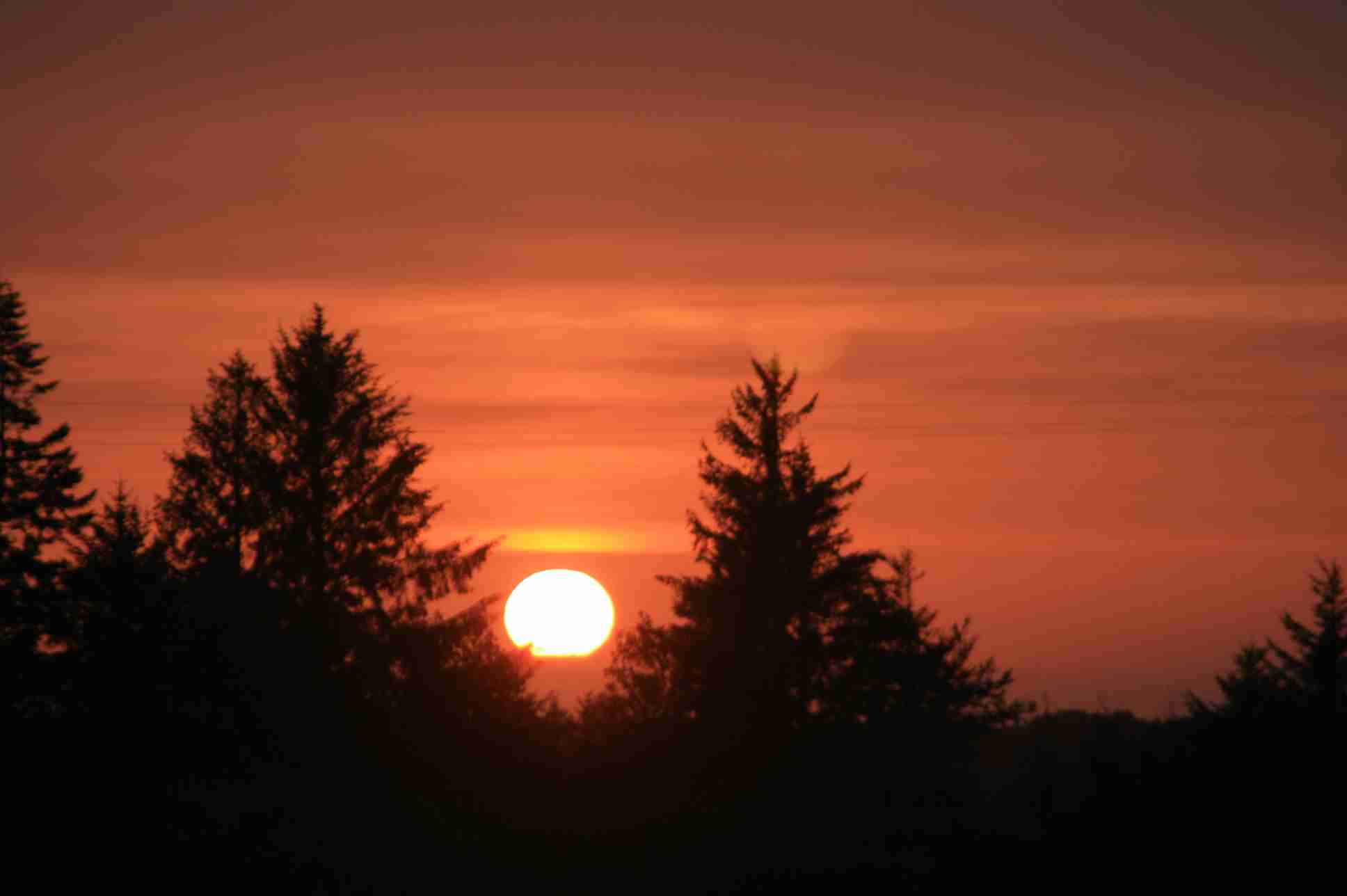 Two More Victories for Farm and Forestland