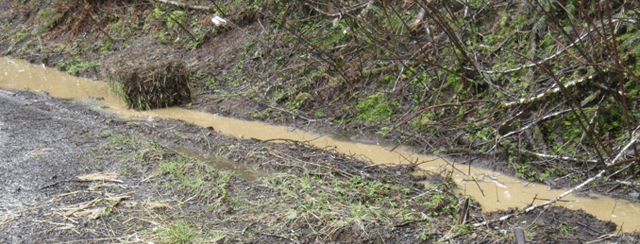 Loopholes for Logging Trucks