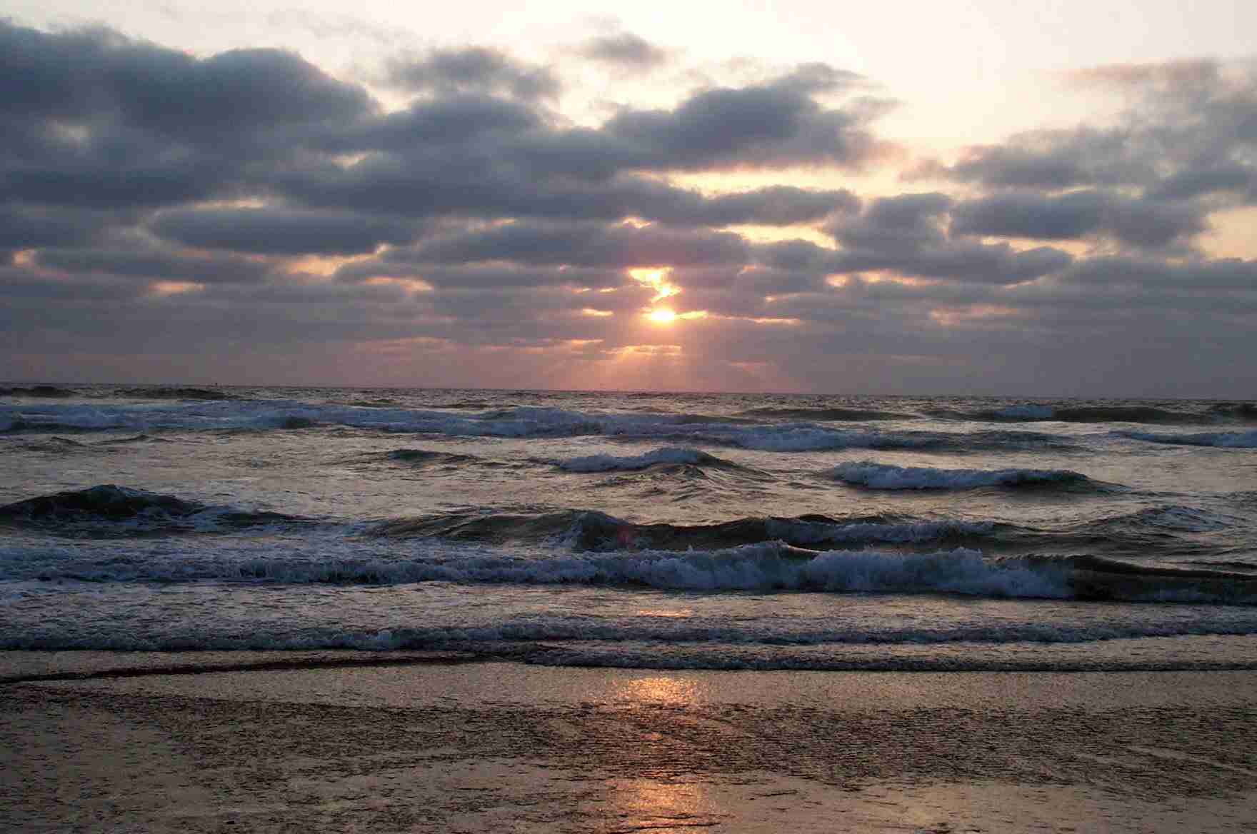 Oregon Shores: 40 Years of Protecting Oregon’s Coast