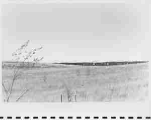 coal train