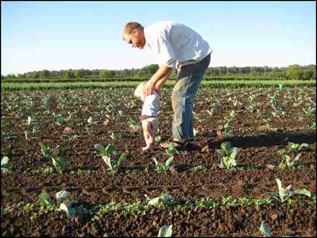 Grand Island Farmland Protected from Gravel Mine