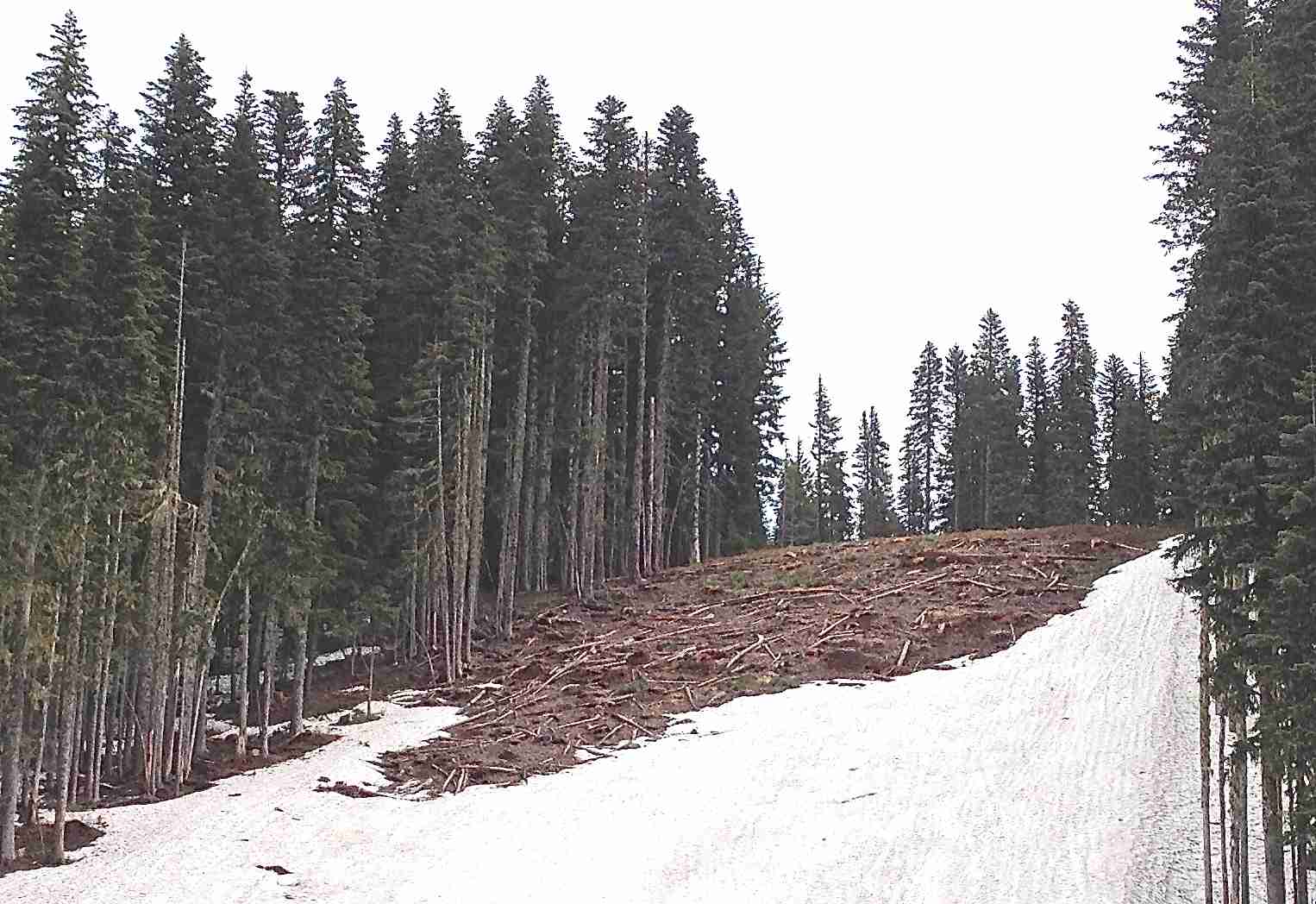 Case Will Decide Future of Hood’s Alpine Flanks