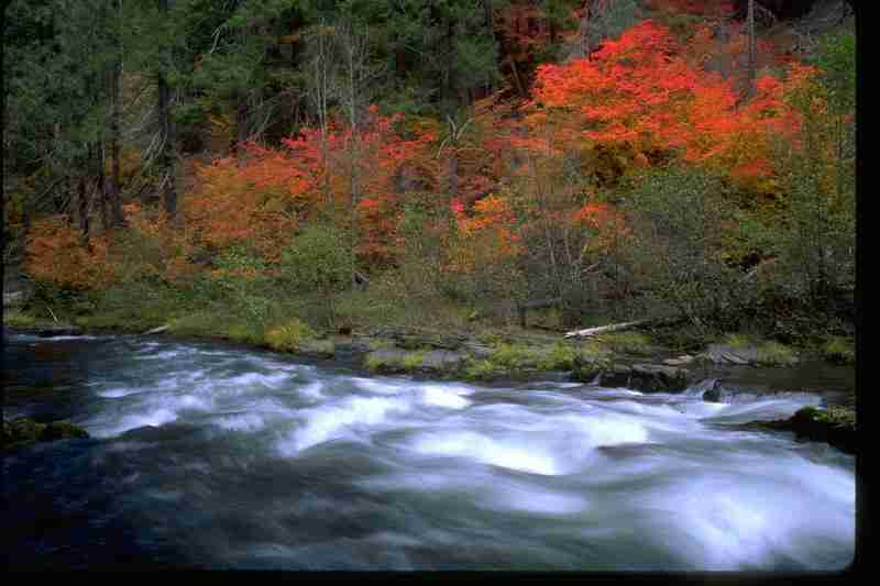 Crag Secures Protection of Public Participation Rights in Jackson County