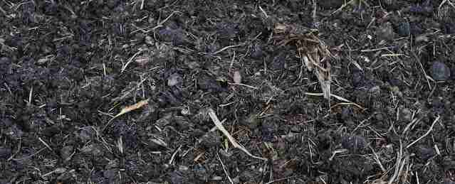 Judge Closes Loophole that Permitted Contaminated Compost in Organic Production