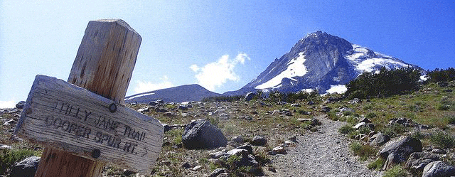 US Forest Service Sued for Failure to Complete Mt. Hood Land Exchange