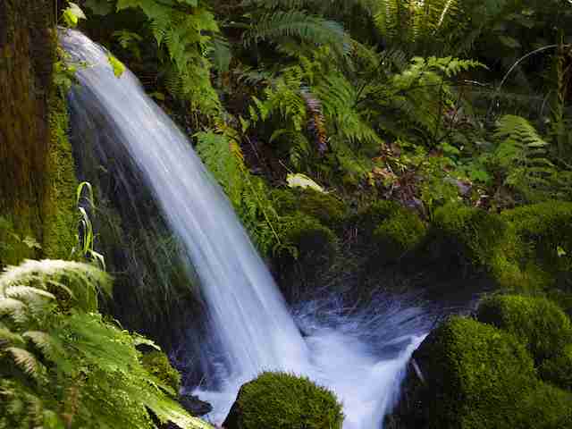 Crag Stops Nestlé From Bottling Water in the Columbia Gorge
