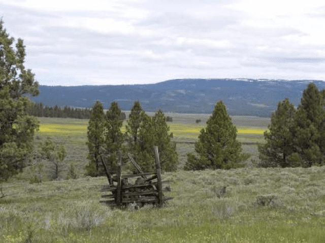 Crag Protects Sensitive Riparian Habitat in the Ochoco National Forest