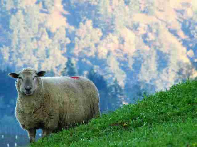 A Win for rural lands in Douglas County!