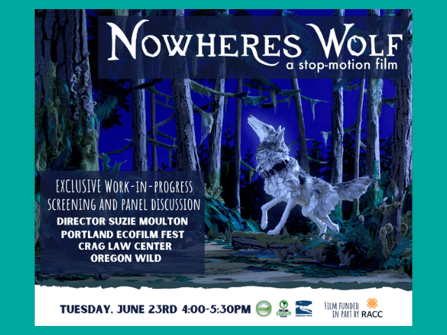 Nowheres Wolf Web Feature