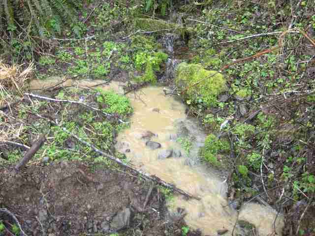 Crag Protects Rivers from Logging Road Runoff in Groundbreaking Case