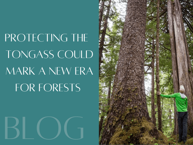 Protections for Tongass National Forest Spark Hope