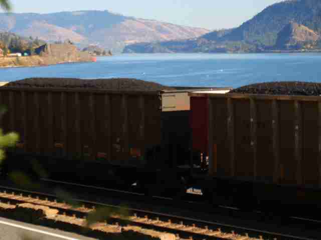 Coal Export Terminal Denied!