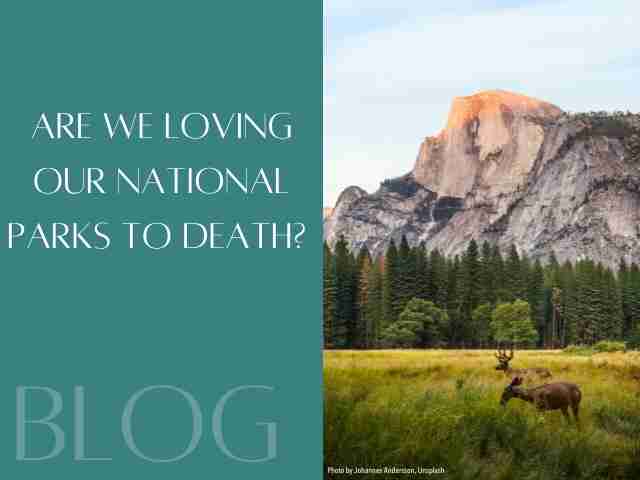Increasing Tourism Threatens National Parks’ Stability