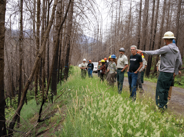 Crag files lawsuit to stop illegal logging after fires