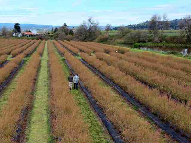 Legal Fight Continues to Protect Farmland & Wetlands