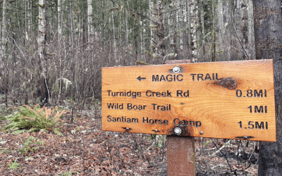 Victory for Oregon State Forests!