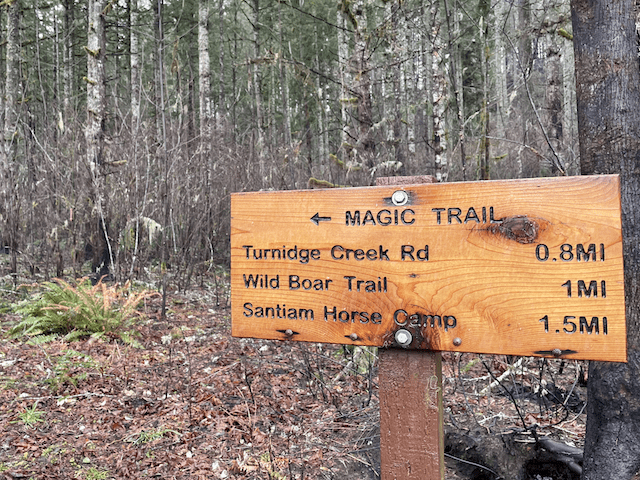 Victory for Oregon State Forests!