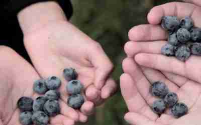Victory for Farmland, Water and Salmon!
