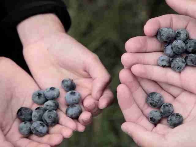 Victory for Farmland, Water and Salmon!
