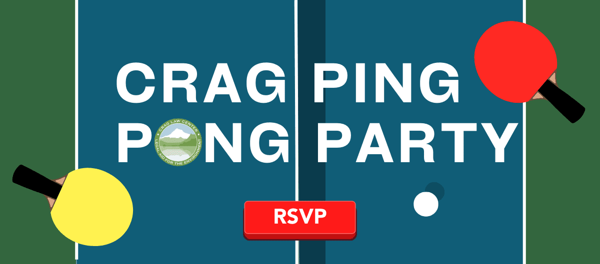Teal rectangular blue ping pong table with green ends. there is a yellow ping pong paddle on the left, a red ping pong paddle on the right and a small white ping pong ball near the center net on the right side.
