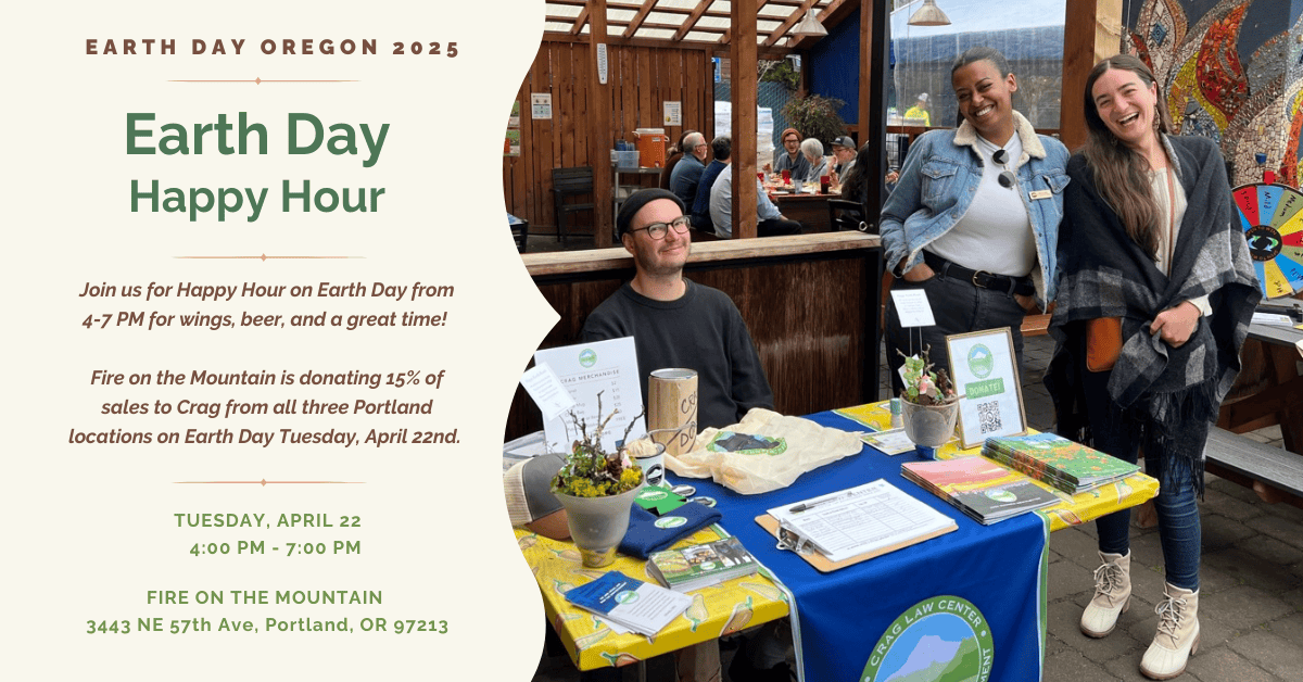 You're invited to a Moss ball (kokedama) workshop